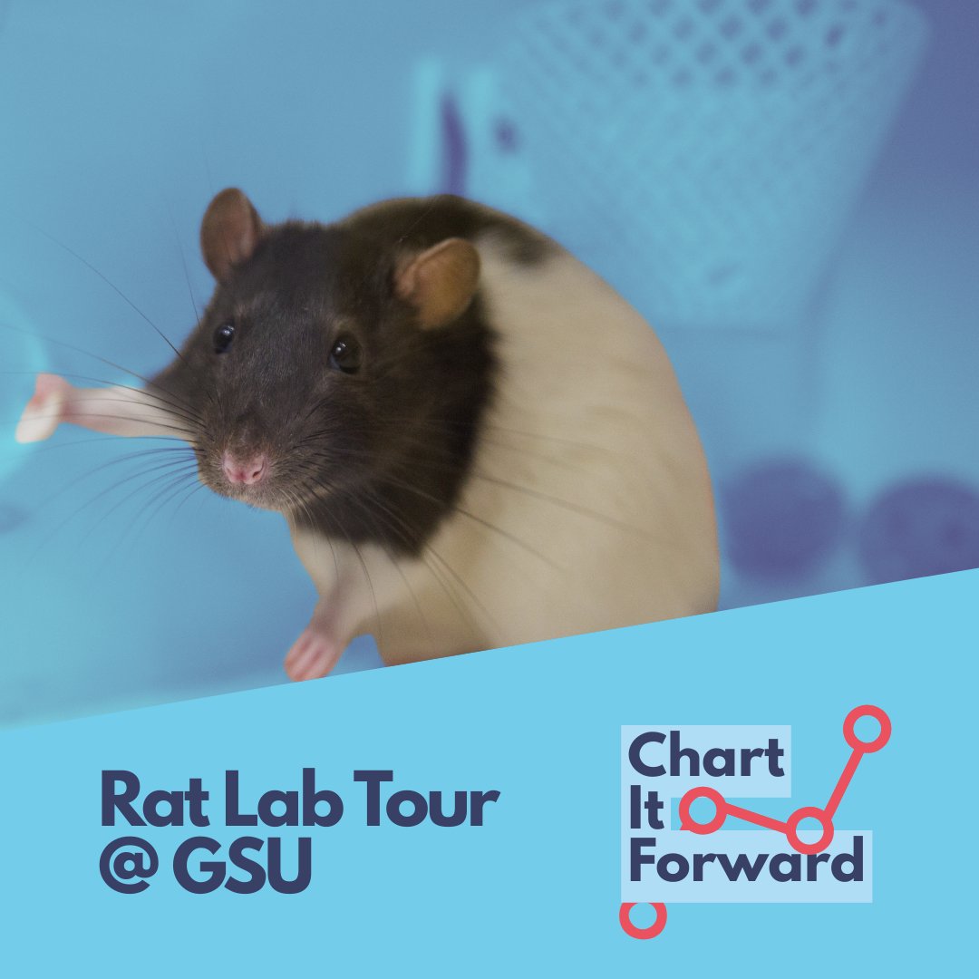 Ever seen a rat dunk? 🐀🏀 At #SCSConference we’re touring Georgia Southern’s Rat Lab—home of Rasketball! Students use precision teaching to shape rats’ behavior all the way to playing basketball. Don’t miss this behind-the-scenes look!