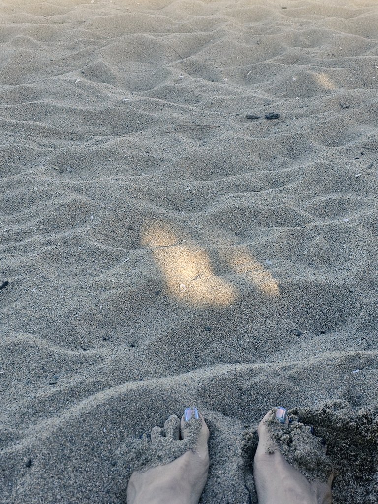 양양 2