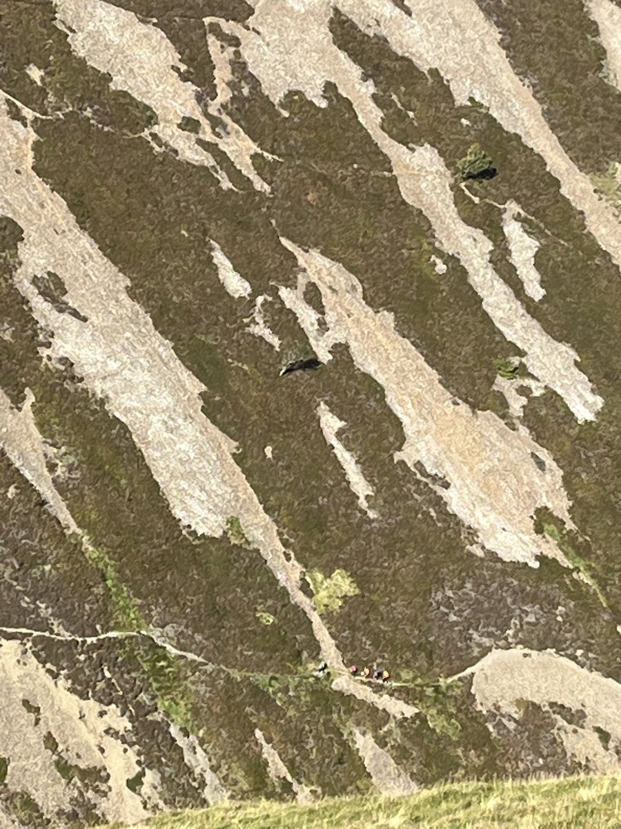 TPS OutdoorEd tweet media