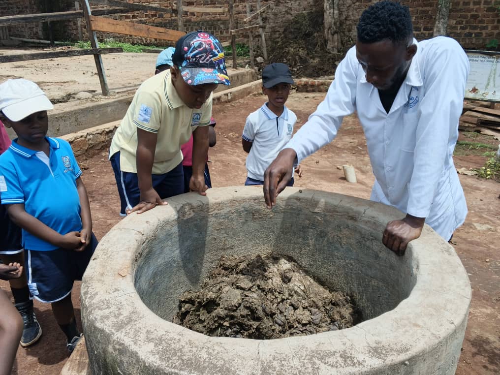 KabojjaSchool's tweet image. Today’s #LearningBeyondTheClassroom spotlight: Our Year 3s explored sustainable agriculture at Katende Harambe Training Centre.
From rabbit & fish farming to coffee & bananas, plus cattle, poultry & biogas. Real-world learning in action! #ExperientialLearning #Sustainability