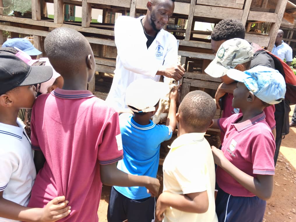 KabojjaSchool's tweet image. Today’s #LearningBeyondTheClassroom spotlight: Our Year 3s explored sustainable agriculture at Katende Harambe Training Centre.
From rabbit & fish farming to coffee & bananas, plus cattle, poultry & biogas. Real-world learning in action! #ExperientialLearning #Sustainability