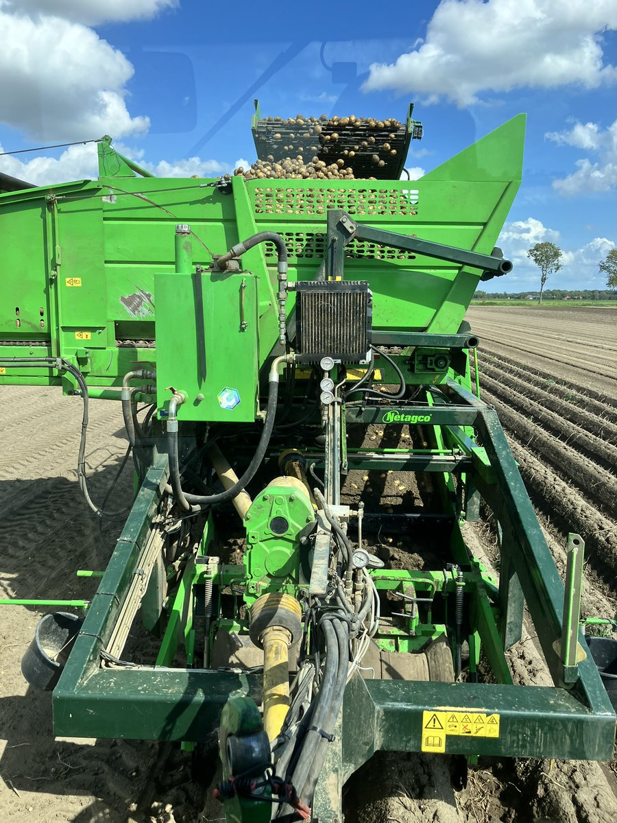 Aardappels weer tussen de planken.