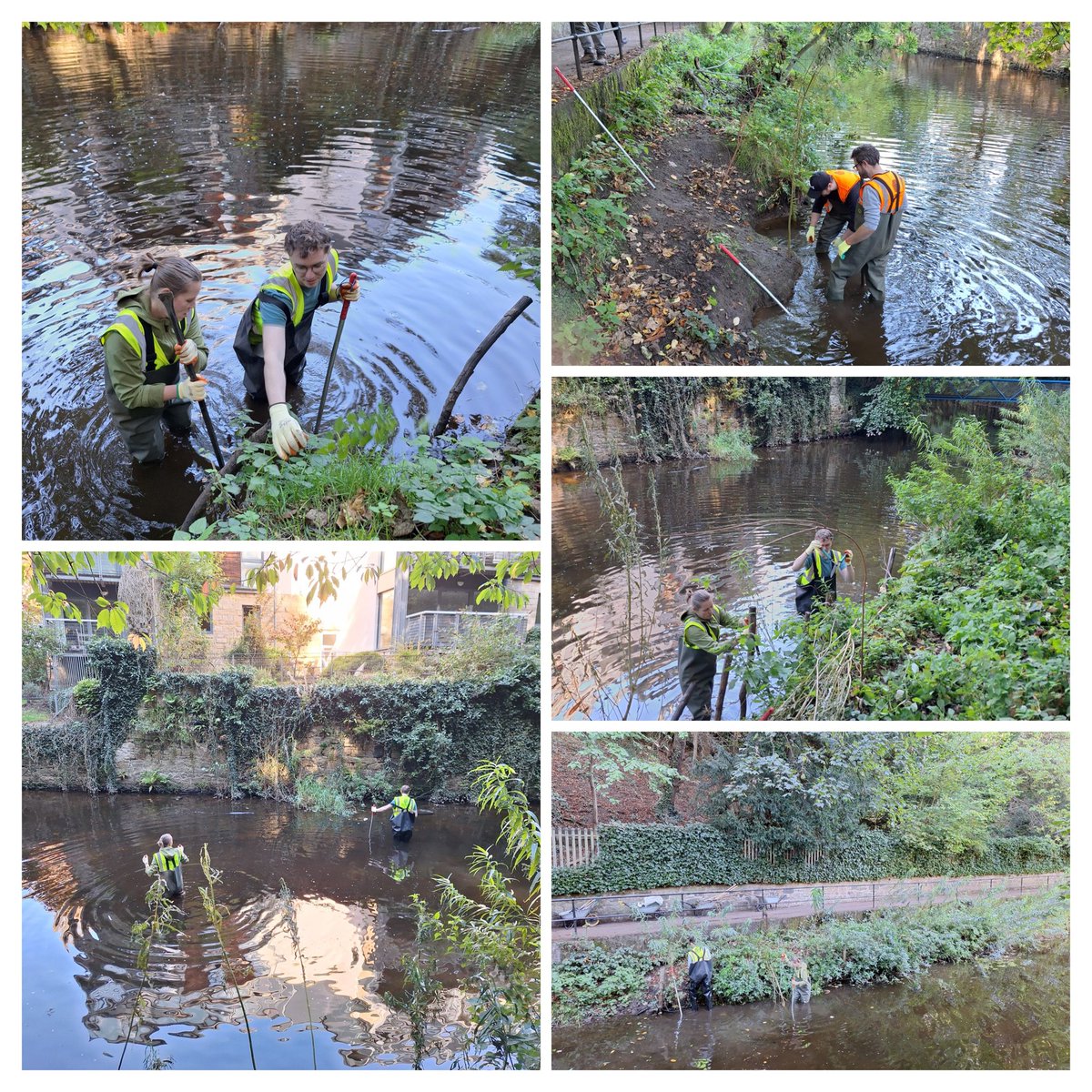 Water of Leith Conservation Trust tweet media