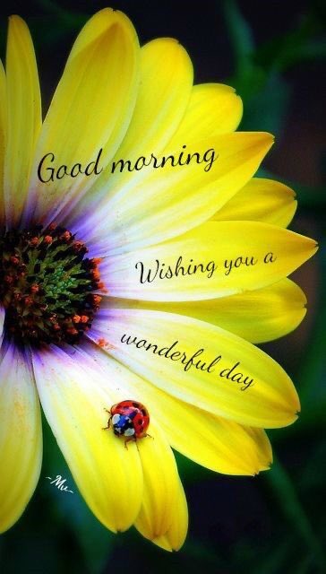 MidwestFantasy's tweet image. Happy #Tuesday friends

Let the world see your bright side today 😊

#tuesdayvibes #behappy