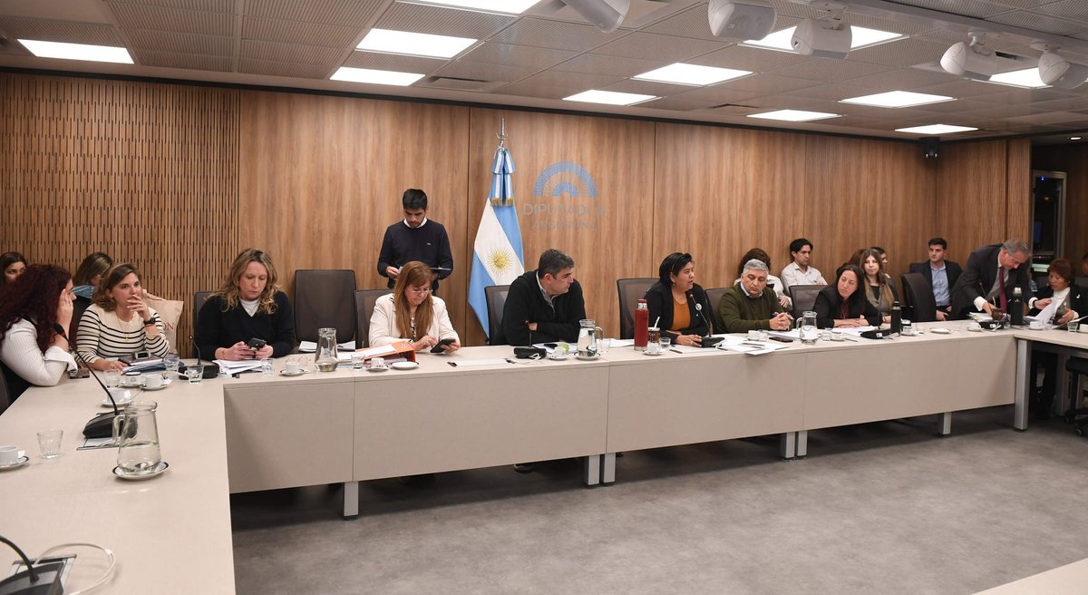 En la Comisión Bicameral del "Defensor de los Derechos de los niños, niñas y adolescentes":
➡️ se aprobó un dictamen con los nombres propuestos para la nueva defensora y los defensores adjuntos. 

VOTÉ EN CONTRA,
porque considero un error volver a confiarle al kirchnerismo un