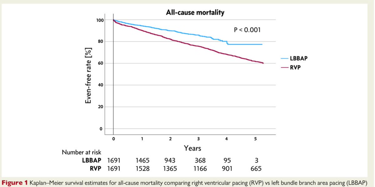 Henry Han tweet media