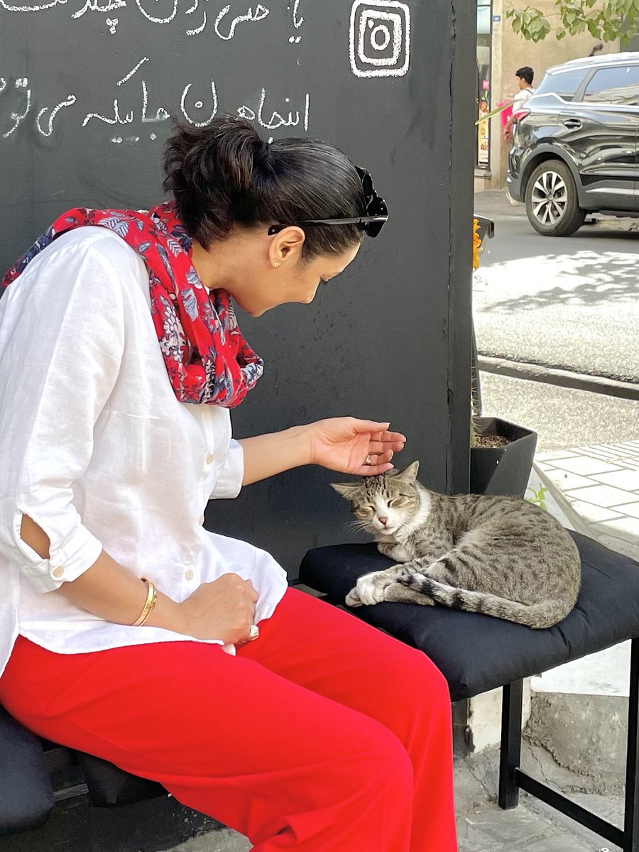 Negarkh (@negarkh1827171) on Twitter photo 