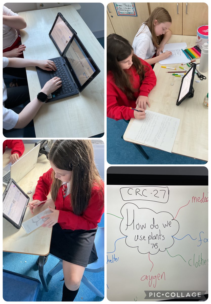 P7 continued their enquiry of the big question ‘how do we use plants?’ They are showing their findings in various different formats and will share these with their peers next week.