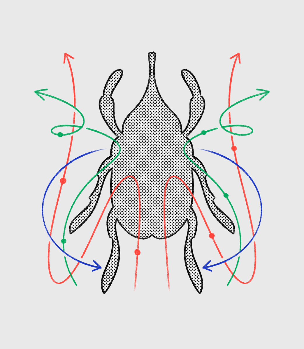 timboelaars's tweet photo. Arthropods. https://t.co/k8ntRp7MIO
