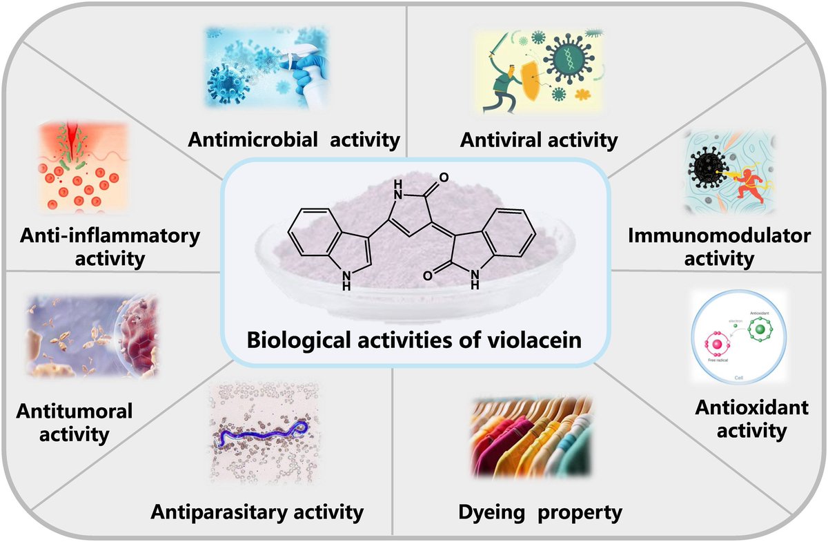 BioDesignR's tweet image. Violacein, a promising purple compound, sees production boost via integrated strategies & agro-waste use. Review explores challenges & solutions. #ViolaceinBio
Details: doi.org/10.1016/j.bide…