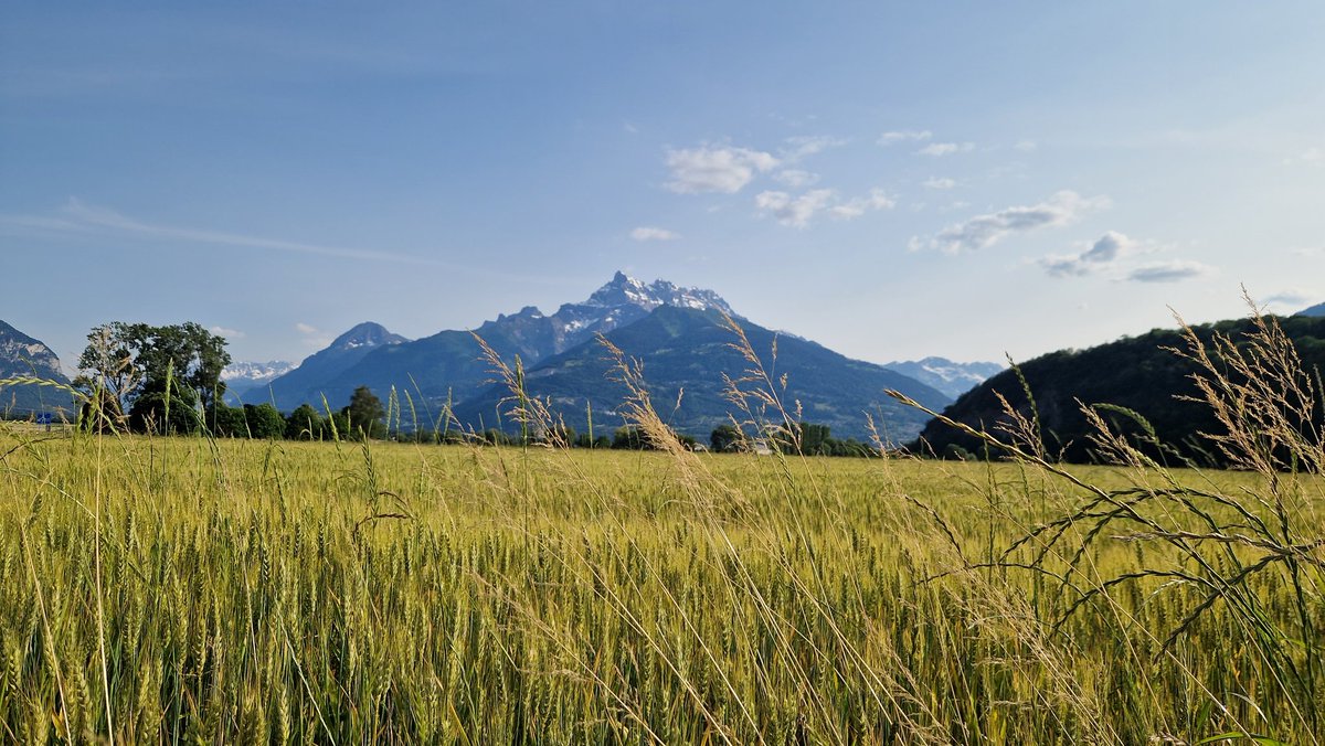 Mountain thread: Dents du Midi (Noon's Teeth)