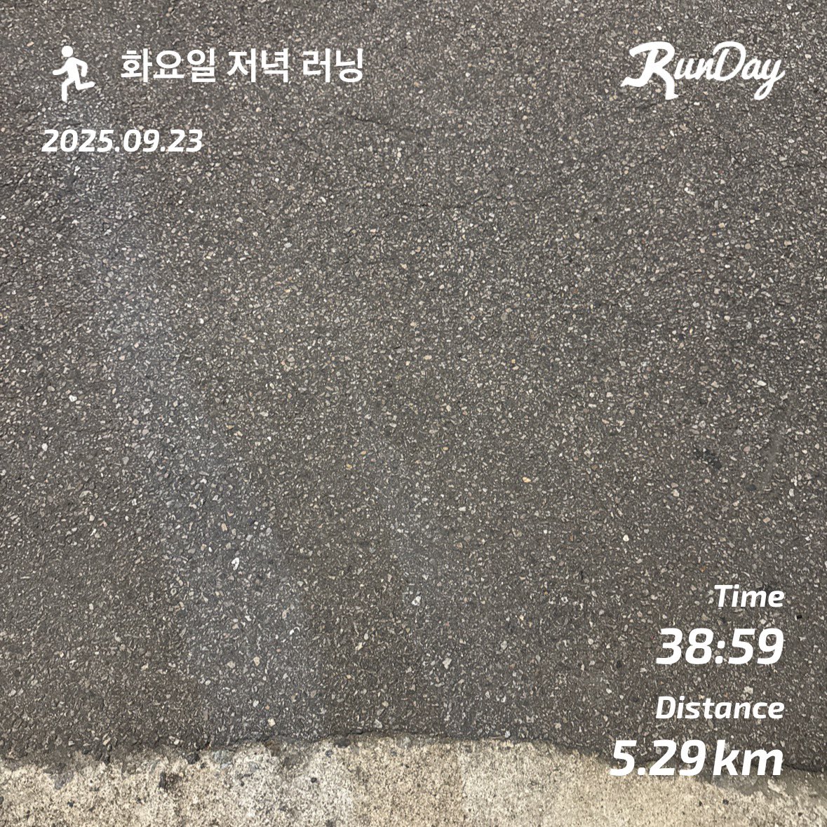 아직은 반소매 입고 달리는 게 나은 날씨 !!