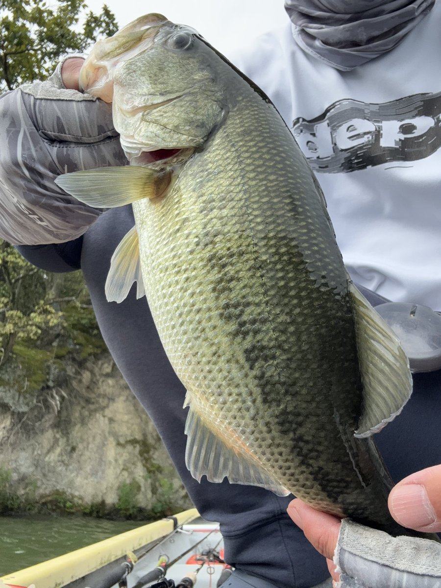 釣れないとか、飽きたとか、ブーブー言って敬遠してたら引き出しがなくなってきたので、まじめに練習してきたよ。新しい発見もあったりして、なかなか楽しゅうございました。 #相模湖