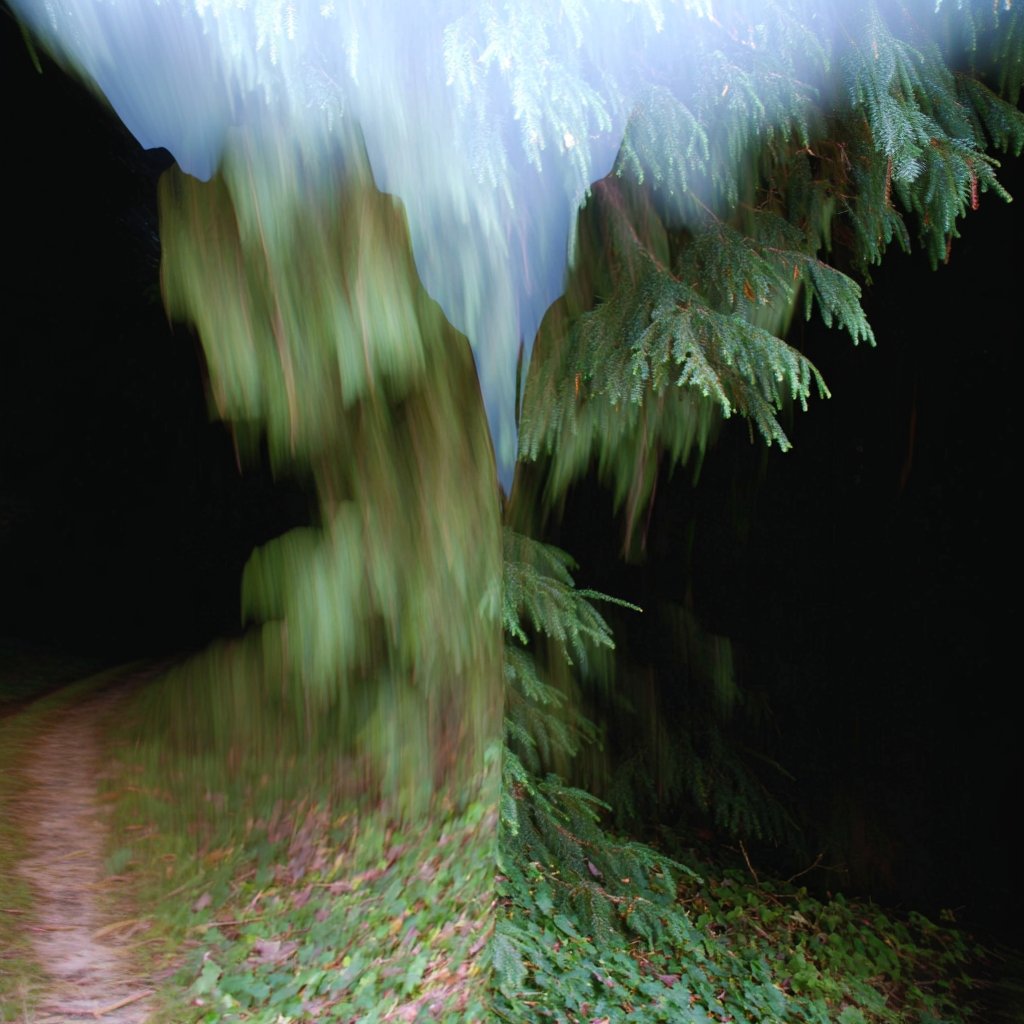 A night road flickers in the hippocampus, indexing fragments scattered across the cortex. The amygdala drapes it in feeling; the prefrontal cortex threads it into a conscious scene. I remember riding through the night.