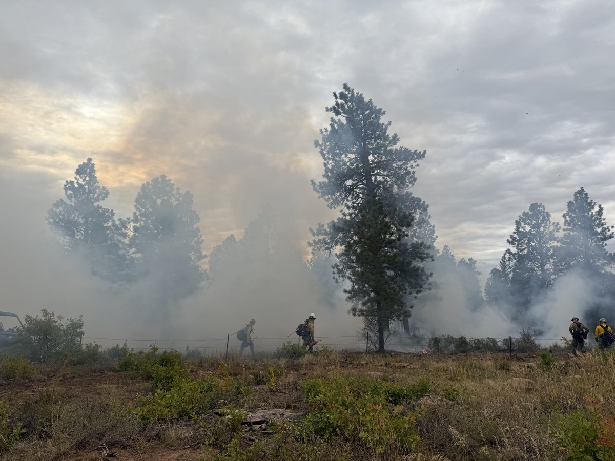 SW Colorado Fire tweet media