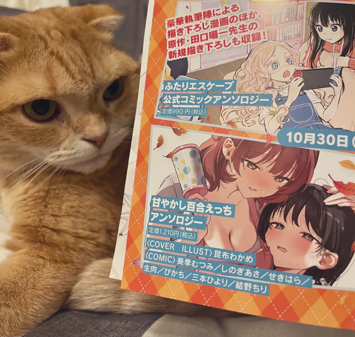 【お仕事告知】
10月30日発売の百合姫コミックス『甘やかし百合えっちアンソロジー』に漫画描かせて頂きました(๑˃̵ᴗ˂̵)お楽しみに〜✨