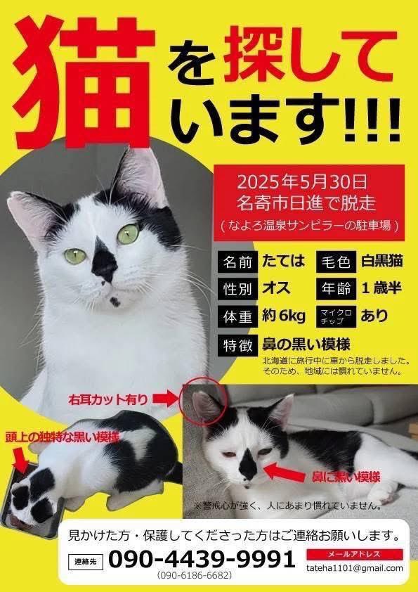 suganoheesan's tweet photo. 情報宜しくお願い致します https://t.co/R0O0vdQC3w