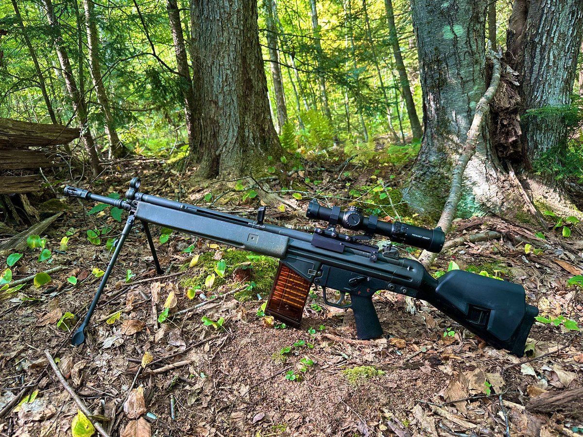 The G3 is superior to the FAL