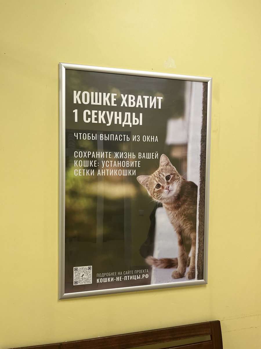 Итого операция будет стоить 112000 - сложная и еще с кастрацией 🥲 назначили на 03.10. а из-за того, что мудачье-хозяева не делали собаке прививки, мы попали на пцр-тест на чуму и энтериты, что тоже мое время и доп расходы
Если кто хочет помочь - 5536914035056096 Т-банк,Ольга А.