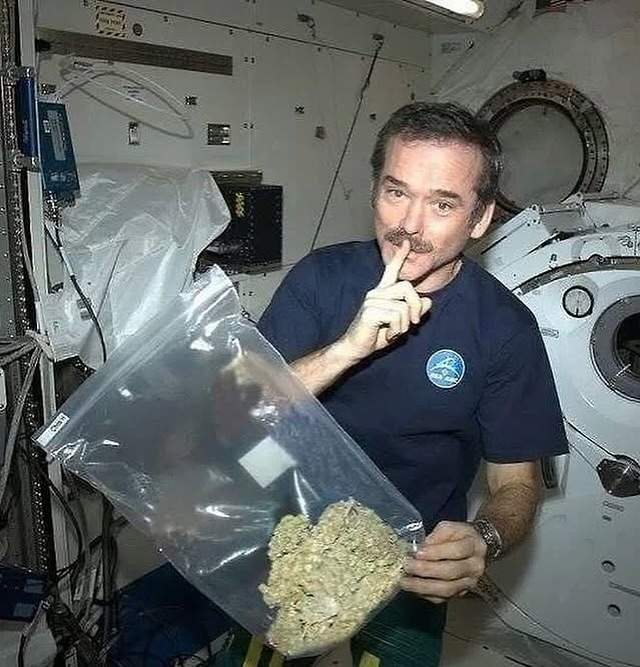 G0rill@ Ulfr€d 🦍🫪 tweet media