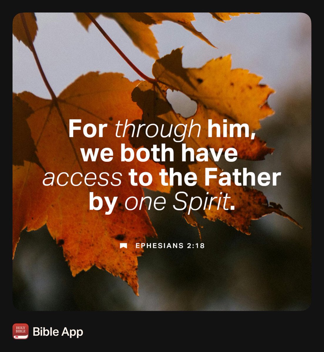 “And He came and preached peace to you who were far away, and peace to those who were near; for through Him we both have our access in one Spirit to the Father.”
Ephesians 2:17-18 NASB1995
bible.com/bible/100/eph.…