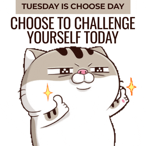 Maybe it's a good day to step out of your comfort zone and challenge yourself today?

media3.giphy.com/media/v1.Y2lkP…