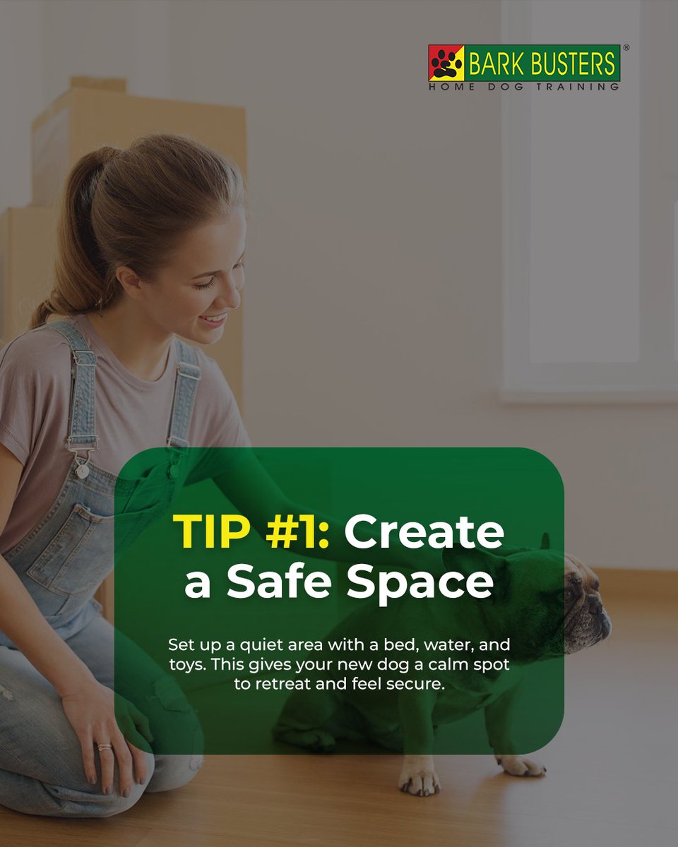 BarkArlington's tweet image. Bringing a new dog home is exciting, but it can also feel overwhelming...

Need more support? We can help your dog feel at home, right from the start.

#barkbustersarlington #dogtrainingtips #dogbehaviorhelp #newdoghome #adoptdogtips #dogtrainingathome #calmandconfident