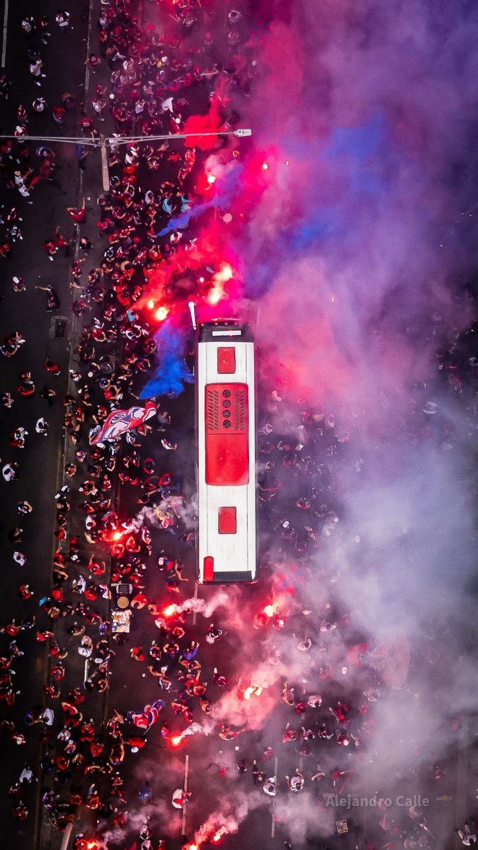 alejandro calle tweet media