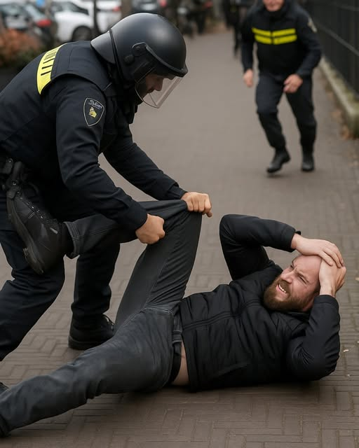 Dolly van den Berg tweet media