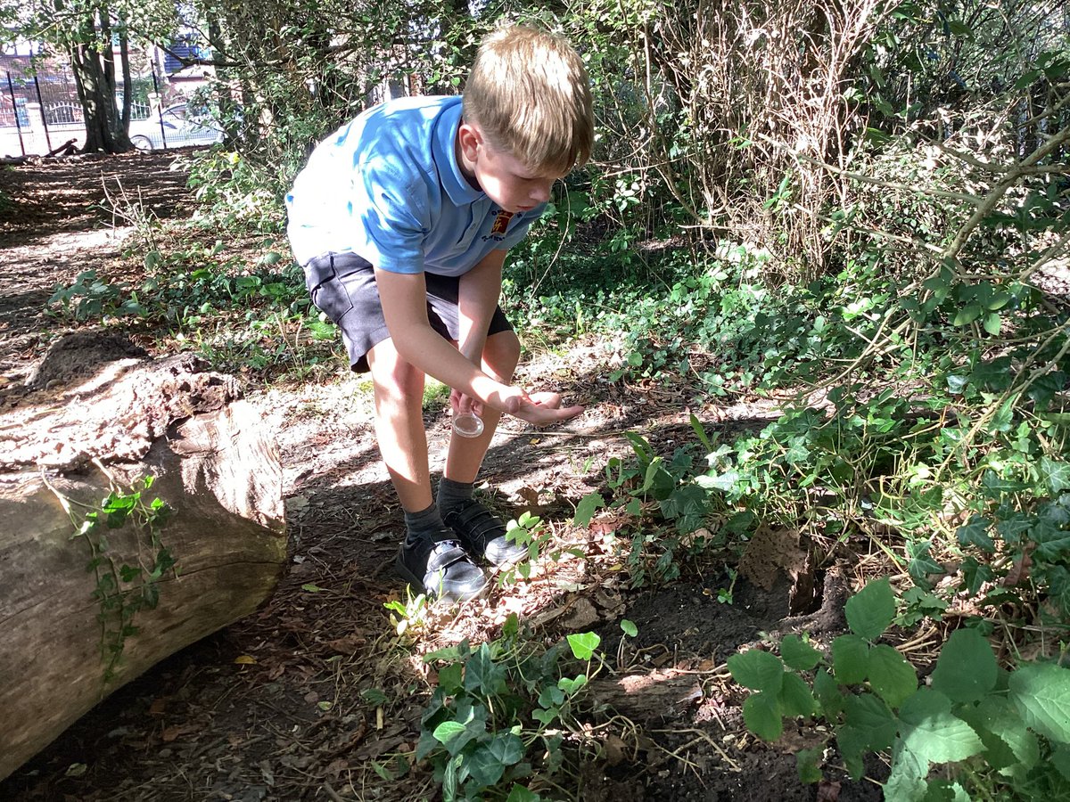 We took our science lesson outside this afternoon to hunt for interesting living things on our school grounds taking special notice of the conditions of the living things we saw #ourladysscience
