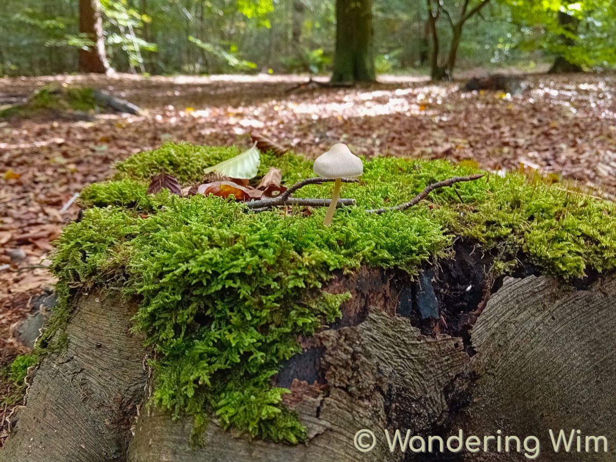 It's officially autumn... 🍂