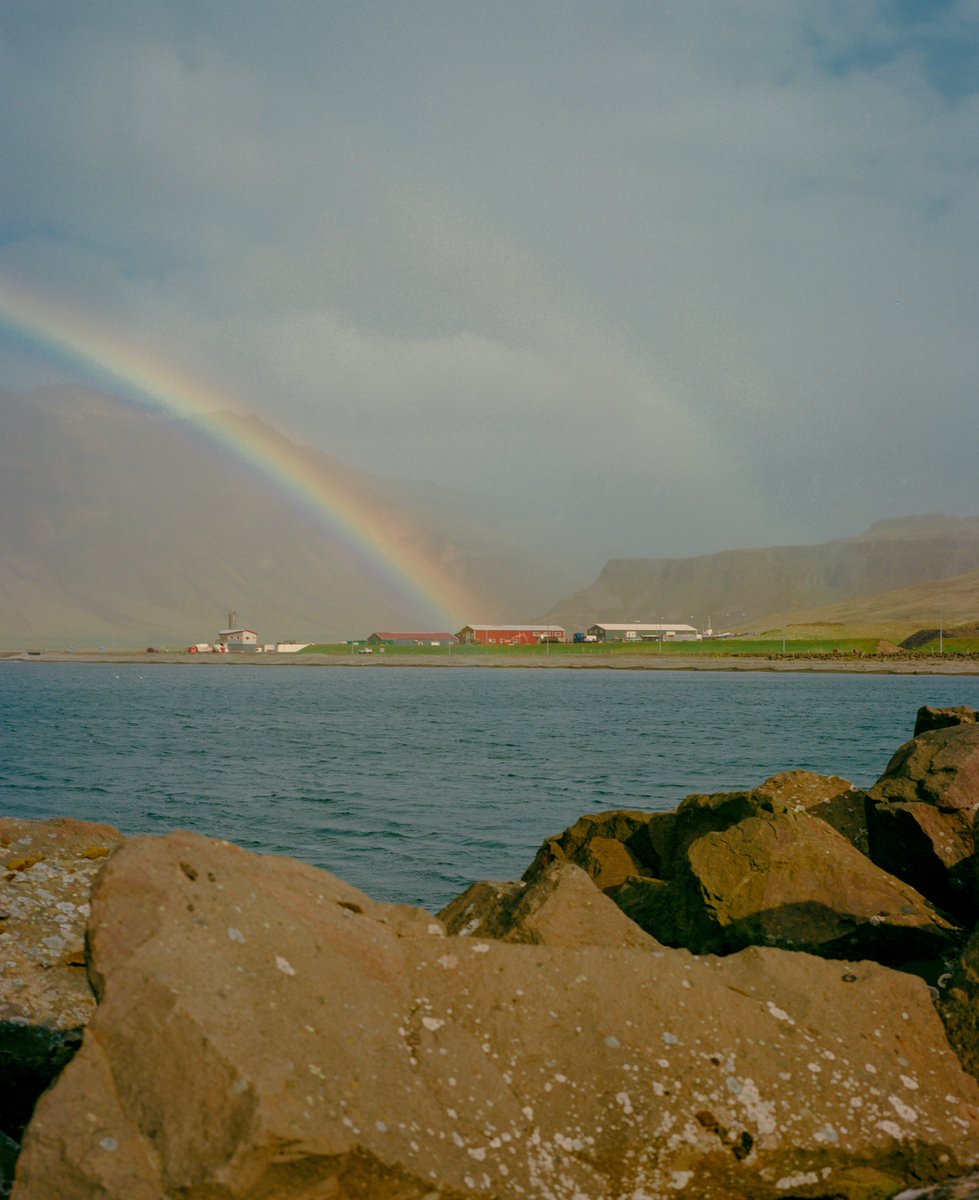 Alex Kittoe tweet media