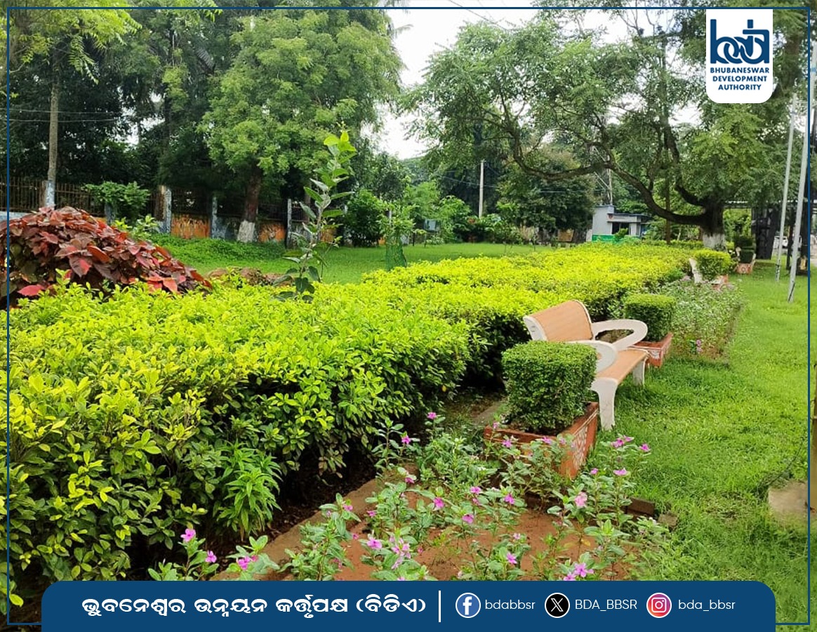BDA_BBSR's tweet image. ପଥଚାରୀଙ୍କ ମନ ଜିଣୁଛି 🌳 ଏଜି ଛକରୁ ଆଚାର୍ଯ୍ୟ ବିହାର ଛକ ଯାଏଁ ରାସ୍ତାର ଦୁଇପାଖେ ଥିବା ସବୁଜ ଉଦ୍ୟାନ । 🌸 ବିଡିଏ ଦ୍ଵାରା ବିକଶିତ ଏହି ଉଦ୍ୟାନ ସହରକୁ କରୁଛି ଅଧିକ ଆକର୍ଷଣୀୟ । 💚
#BDA#ସବୁଜ_ସହର#BBSR