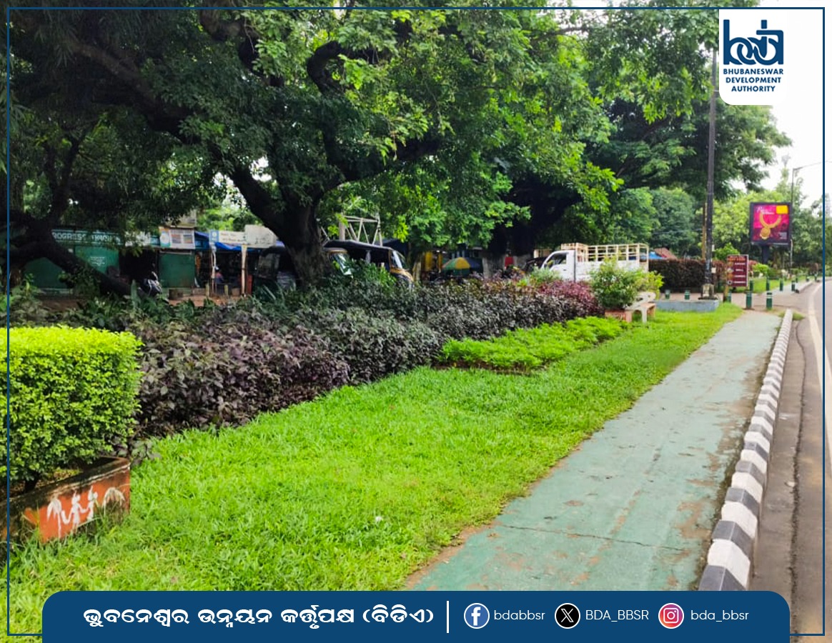 BDA_BBSR's tweet image. ପଥଚାରୀଙ୍କ ମନ ଜିଣୁଛି 🌳 ଏଜି ଛକରୁ ଆଚାର୍ଯ୍ୟ ବିହାର ଛକ ଯାଏଁ ରାସ୍ତାର ଦୁଇପାଖେ ଥିବା ସବୁଜ ଉଦ୍ୟାନ । 🌸 ବିଡିଏ ଦ୍ଵାରା ବିକଶିତ ଏହି ଉଦ୍ୟାନ ସହରକୁ କରୁଛି ଅଧିକ ଆକର୍ଷଣୀୟ । 💚
#BDA#ସବୁଜ_ସହର#BBSR