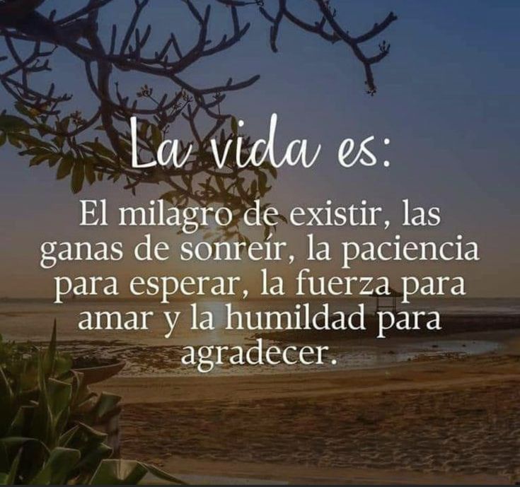La vida es; 👇👇👇👇🙏🙏🙏🙏😊
#FraseDelDía 
#BuenosDías 
#FelizMartesATodos 
#FrasesParaElAlma 
#FelizMartesParaTodos