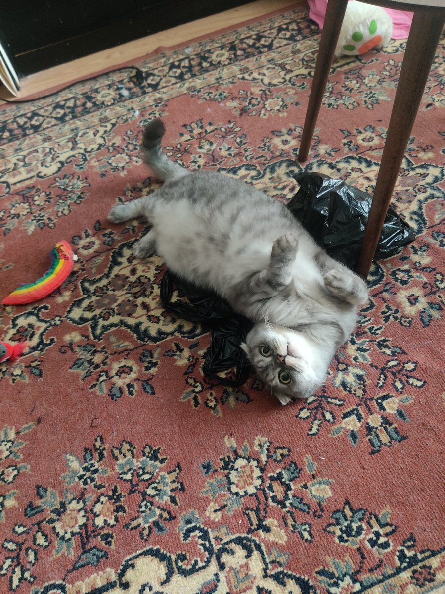 We should normalize collecting amputated human parts as decorations