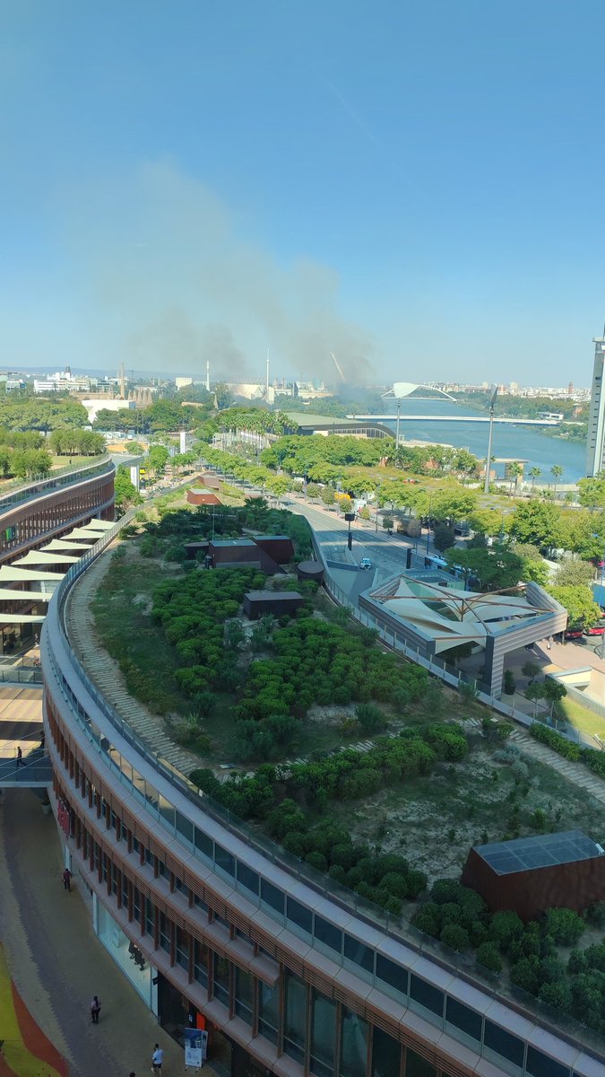 Dos incendios en la cartuja en Sevilla. Por jardines guadalquivir y auditorio Rocío jurado  <a href="/EmergenciasSev/">Emergencias Sevilla</a> <a href="/diariosevilla/">Diario de Sevilla</a>