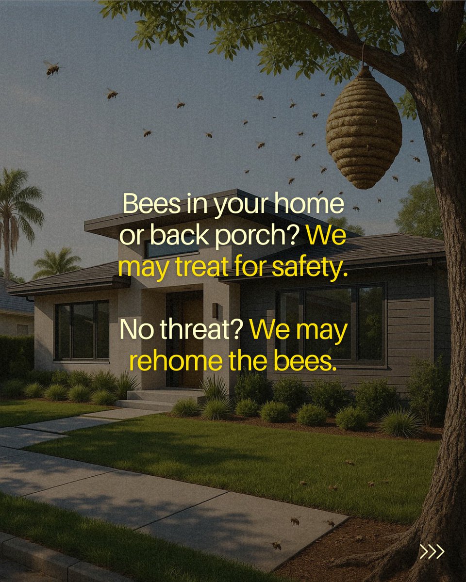 TrulyNolen's tweet photo. Happy Rosh Hashanah!
As we celebrate a sweet new year with apples and honey, let’s also honor the hardworking bees behind it all.
But what if the bees show up at your table… or on your porch? (1 of 2)
#RoshHashanah #ApplesAndHoney #TrulyNolen #BeeSafe https://t.co/3xetEBefxN