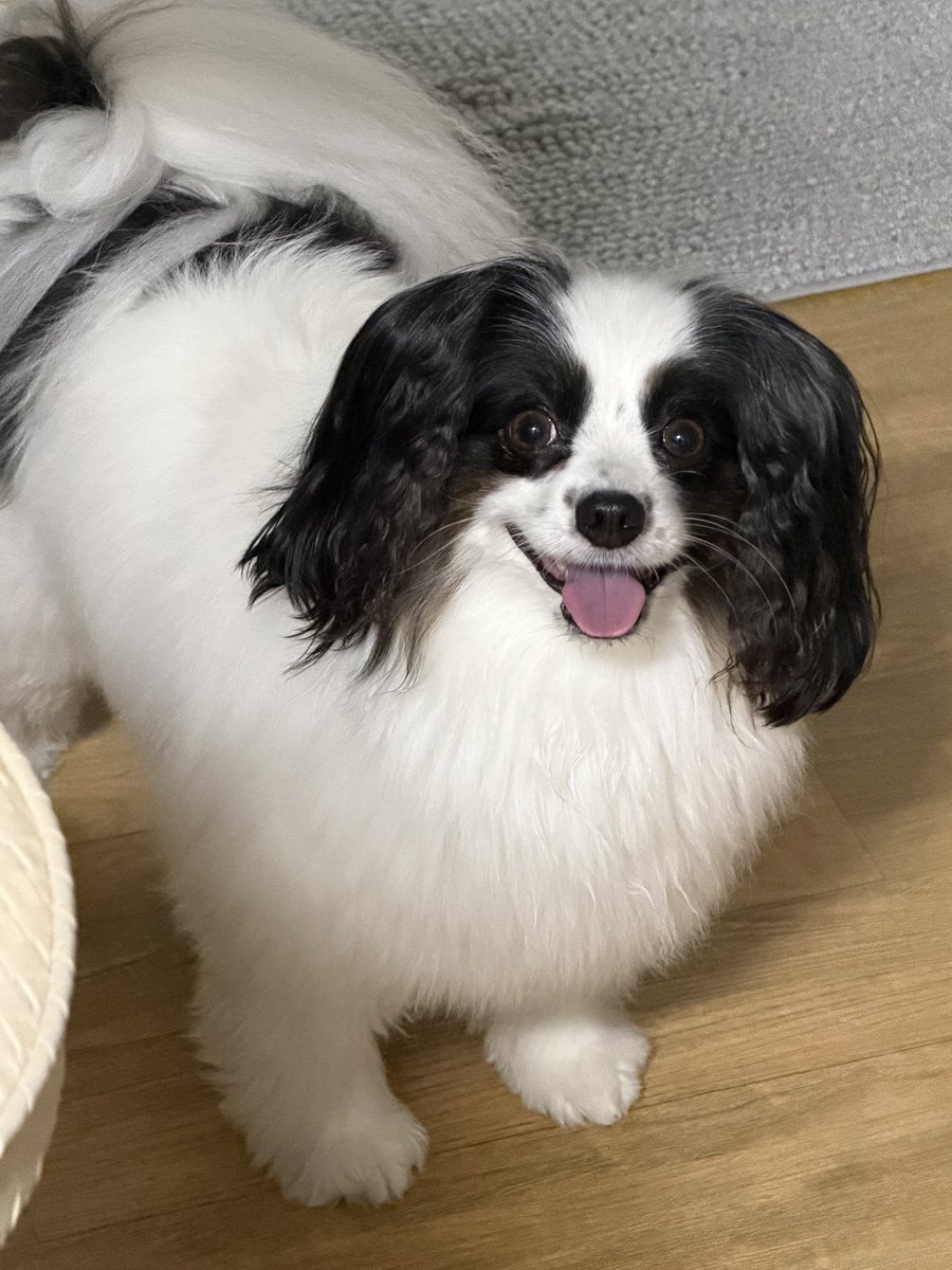 Leejotto's tweet image. 빵이