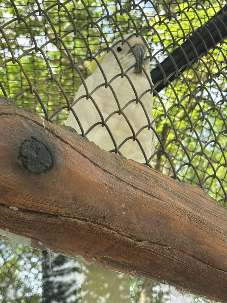 digimortal3's tweet image. 