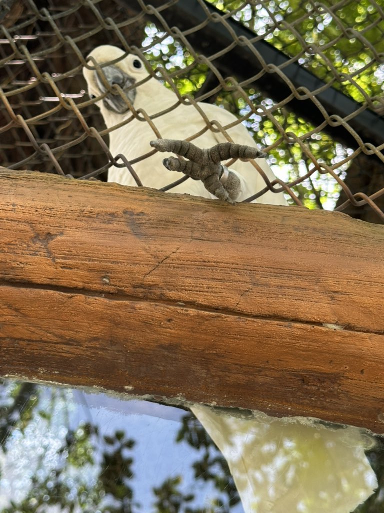 digimortal3's tweet image. 