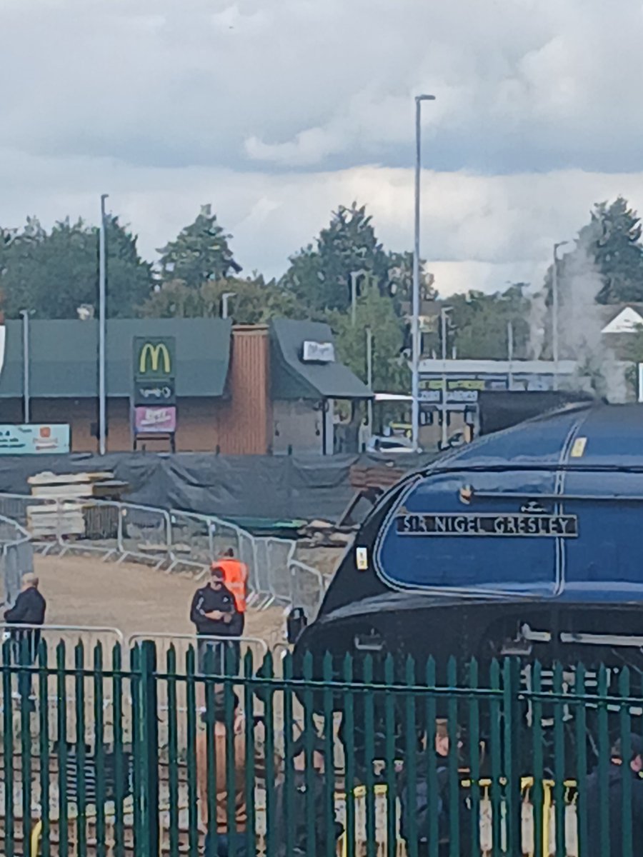 Is this a trend or something?