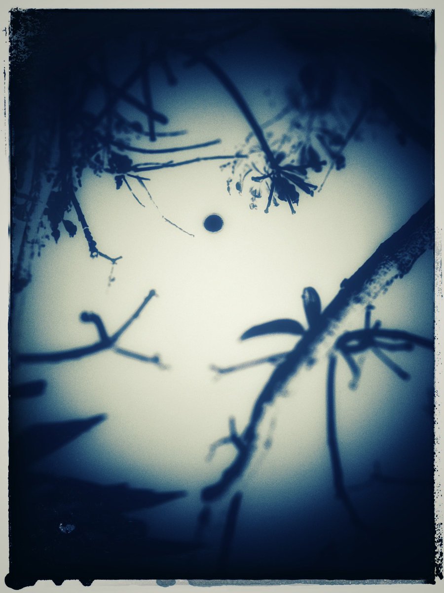 Monoreena Acharjee Majumdar tweet media