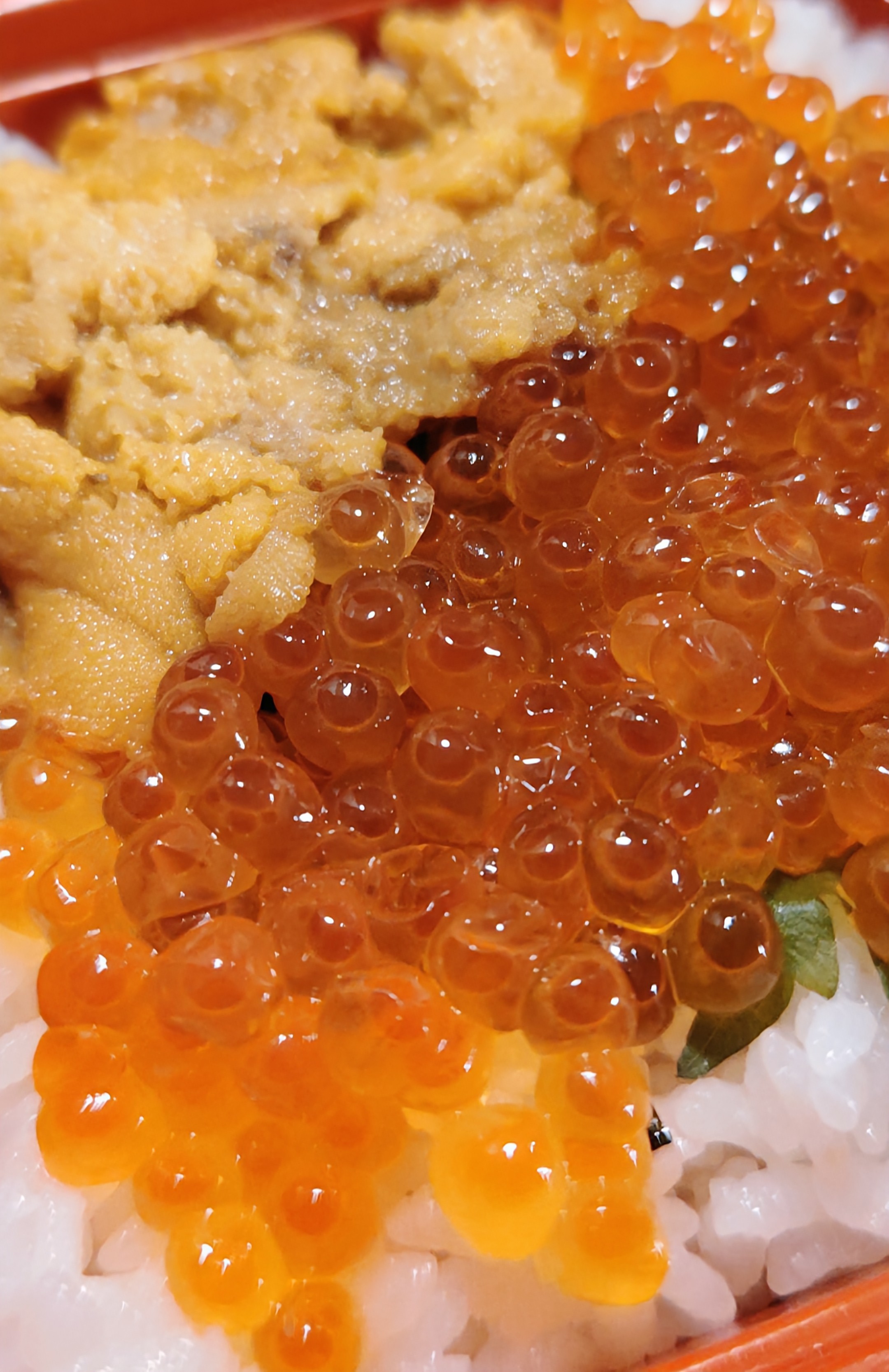 丼！ 牛とサーモンのクロスファイヤー勝つ丼という概念。 ちなみに