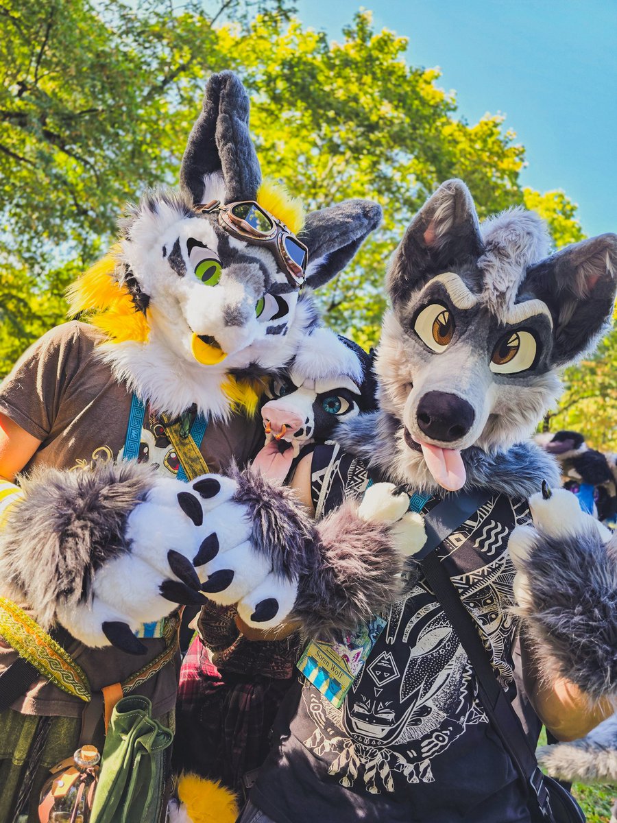 CuriousGeck's tweet photo. WROOF25 'n frens!
#WRFW #wroof #furry #fursuitwalk https://t.co/zo0A0wGRmk