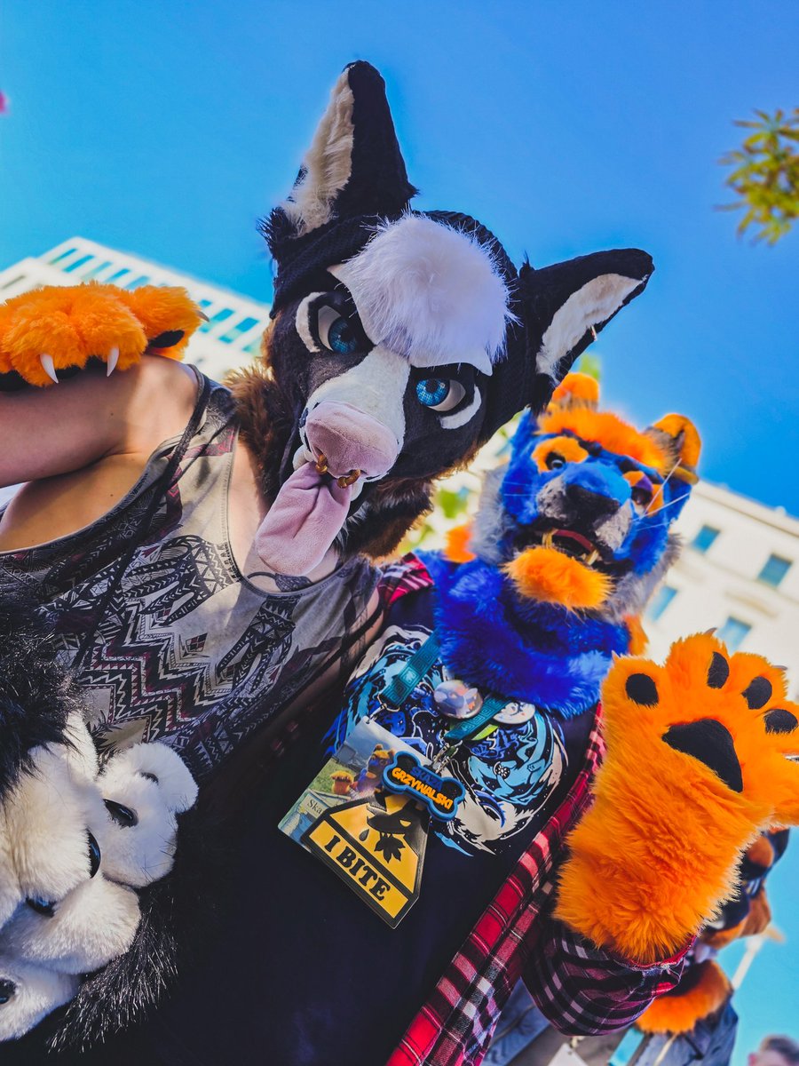 CuriousGeck's tweet photo. WROOF25 'n frens!
#WRFW #wroof #furry #fursuitwalk https://t.co/zo0A0wGRmk