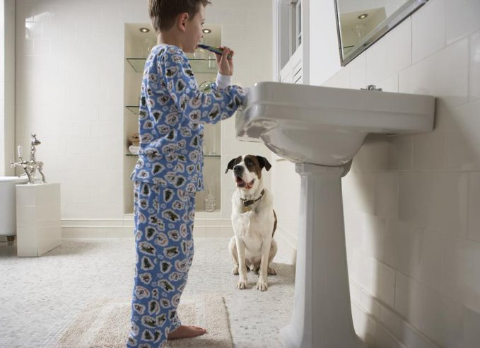 Marion Friedl #ForUkraine #Boostered #PostVac tweet media