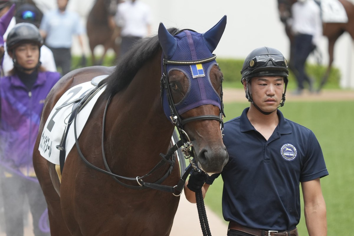 ✳️非売品 新品 希少 久保田貴士 厩舎 ジャージ 競馬 厩舎ジャージ ブルゾン 2025年最新】厩舎 ブルゾンの人気アイテム - メルカリ