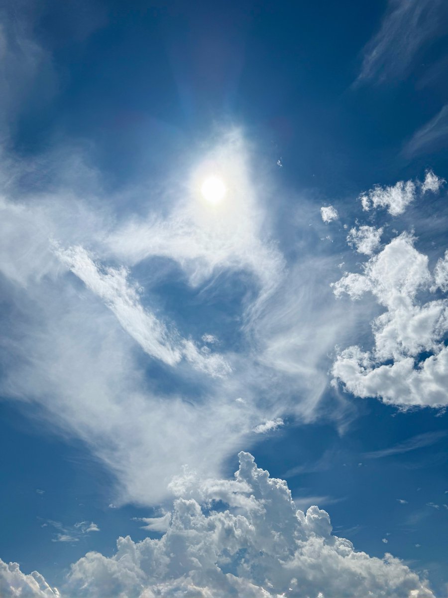 ♡. ᘏ▸◂ᘏ  CRYPTO NOU
◟꒰◍ ´꒳` ◍꒱◞ .｡.:*♡ 3周年🧠🧬
￣￣￣￣￣￣￣￣￣￣￣￣￣￣￣
本日9月23日でCRYPTO NOUが始まって3周年でした🧠🧬✨