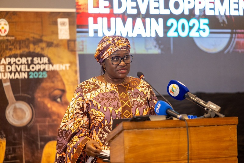 Togo : le PNUD appelle à mettre l’IA au service du développement humain togofirst.com/fr/education/2…